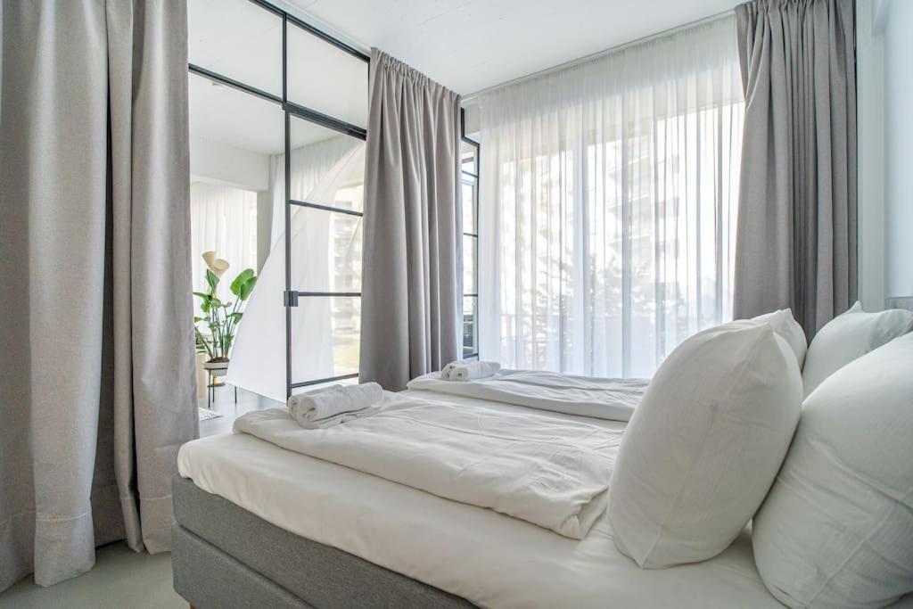 Scandinavian Premium Atelier - Spacious Comfort